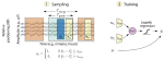 Self-Supervised Representation Learning from Electroencephalography Signals