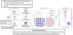 Exploring Nutritional Influence on Blood Glucose Forecasting for Type 1 Diabetes Using Explainable AI