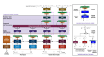 Temporal Fusion Transformers for interpretable multi-horizon time series forecasting