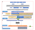 Enhancing Early Detection of Cognitive Decline in the Elderly