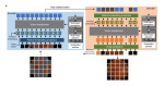 A Foundation Model for Generalizable Disease Detection from Retinal Images