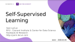 Introduction To Self-Supervised Learning