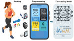 GluBox: Glucose Prediction for Type 1 Diabetes from Multimodal Wearable Sensors using Region-Sensitive Loss and Bayesian Optimization
