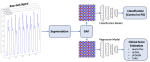 Detection and Severity Assessment of Parkinson’s Disease by Analysis of Wearable Sensors Data Using Gramian Angular Fields and Deep Convolutional Neural Networks